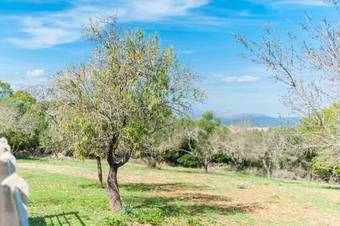 Villa Son Tord