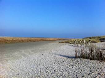 Dune Bep