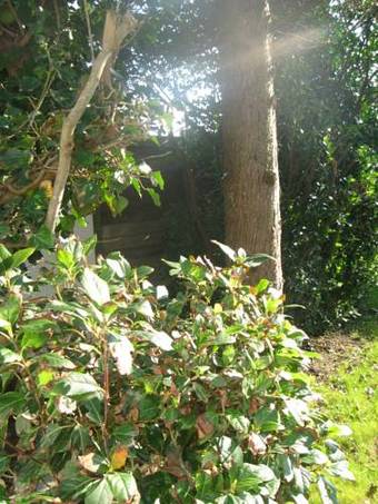 L'�toile Filante