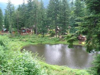 Mount Hood Village Deluxe Cabin 9