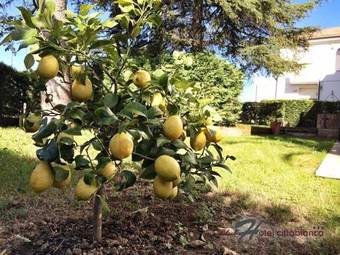 Boutique Hotel & Spa Citt� Bianca