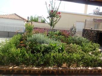 Villa Sotiriou