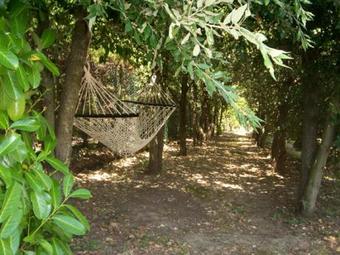 Villa Il Piratello
