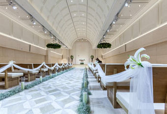 Ver fotos