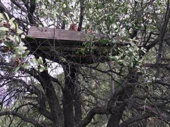 Maipo Shanti Lodge