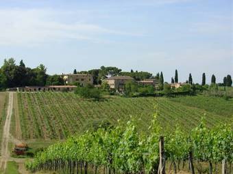 Tenuta Di Corsano