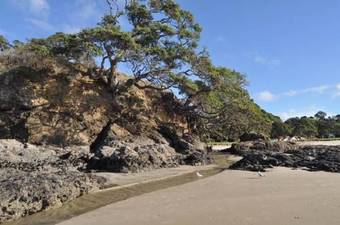 Hotel Waipu Cove Resort