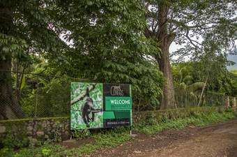 Hotel Congos Resort