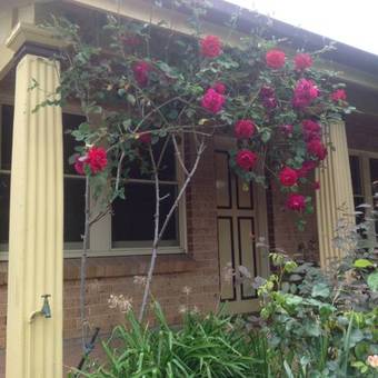 Oats Cottage