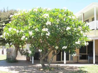 Apartamento Kalbarri Riverfront Unit