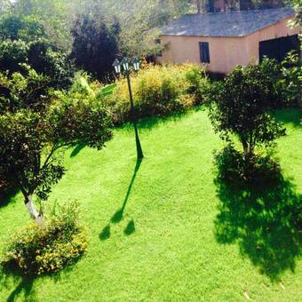 Efi & Sofia Apartments