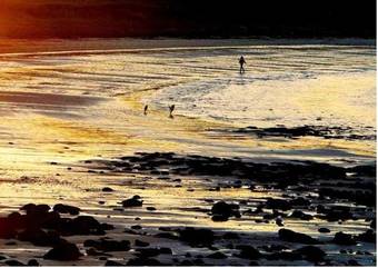 Decourcey's Hazelbrook Farmhouse B&B