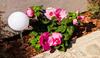 Hotel D?m U Pikov� Des�tky