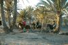 Hotel Djerba Castille