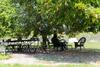 Bed & Breakfast Les Tilleuls D'elis�e