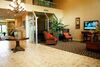 Hotel Holiday Inn Express Tampa/brandon