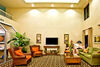 Hotel Holiday Inn Express Tampa/brandon