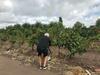 Lodge Sangiovese Caba�as