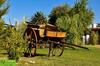 Lodge Sangiovese Caba�as