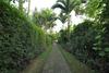 Hostal Nara Ubud Cottage