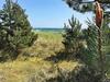 Three-bedroom Holiday Home In Aakirkeby 12