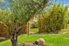 Stayincalvi