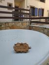 Angeo Apartments
