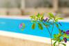 Hiona Holiday Hotel