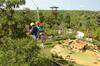 Buckingham Pad 317