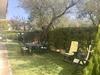 Apartamento Mille Ulivi