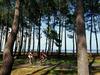 House Le Windsurf