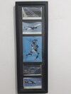 Hostal Flight Crew Hostel