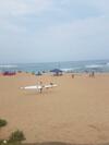 Beach Frond Apartment