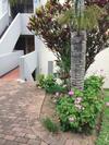 Apartamento 20 Key Largo