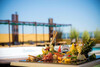 Grand Crucero Iguazu Hotel