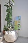Apartments Slavica