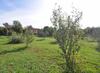 Holiday Home In Pula/istrien 17488