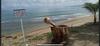 Casa Peace Haven Beach House