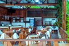 Hotel Ut�ane