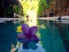 Hacienda La Rusa B&B