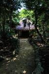Cavelands In The Jungle