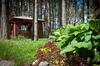 Hotel Baza Otdykha Checheli