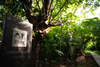 Hotel Kaomai Lanna Resort Chiang Mai