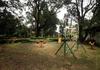 Hotel Mpt White Tiger Forest Lodge