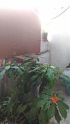 Apartamento Prakrutika