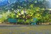 Sanjose Holiday Home Resort,virajpet