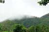 Sanjose Holiday Home Resort,virajpet