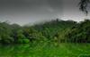 Sanjose Holiday Home Resort,virajpet