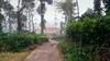 Sanjose Holiday Home Resort,virajpet