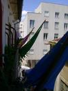 Hostal Residencial Moeda
